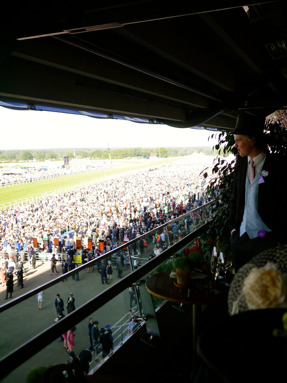 Image result for royal ascot boxes
